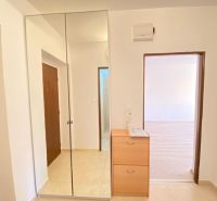 A mirrored wardrobe and a chest of drawers in the entrance area of a studio apartment with a tiled floor.