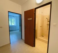 Entrance hall in a 1-room apartment with tiles and a view into the bathroom.