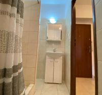 Bathroom with a sink, shower, and tiles in a studio apartment.