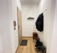 Entrance hallway in a one-room apartment with a wooden decor floor and a shoe cabinet.