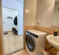 Bathroom in a studio apartment with a washing machine, next to a floor with a wooden decor.