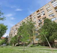 An apartment building surrounded by greenery in Dunajská Streda, suitable for a 3-room apartment.