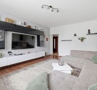 Living room in a 3-room apartment with a corner sofa and a wooden decor floor.