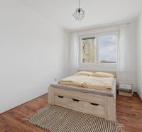 Bedroom in a 3-room apartment with wood-patterned flooring, a bed, and a rug.