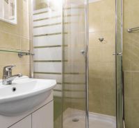 A bathroom in a 3-room apartment with a sink and a shower.