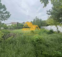 Garden and greenery on plots designated for housing in Andovce on Andovce Street.