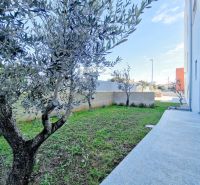 Exterior in PETRČANE with courtyards and greenery near a 3-room apartment.