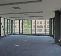 Office interior with large windows and blue carpet.
