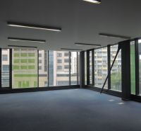 Empty office space with large windows and blue carpet.