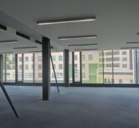 The interior of offices with large windows, carpeted floors, and ceiling lighting.