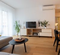 Living room in a two-room apartment with a wooden decor floor, light sofa, and greenery.