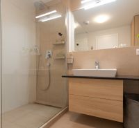 Bathroom with a walk-in shower and a wooden washbasin counter in a 2-room apartment.