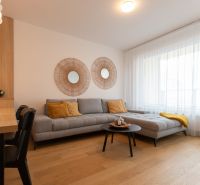A living room with a wood-patterned floor and a gray sofa.