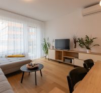 Living room in a two-room apartment with a wooden decor floor, sofa, and television.
