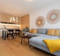 Living room with a kitchen in a 2-room apartment, wooden decor flooring, light-colored sofa.