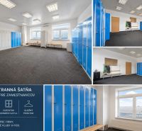 Locker room with blue and white lockers, plenty of natural light, suitable for employees.