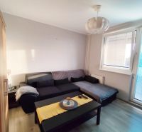 Living room with a sofa and a table in a two-room apartment, floor with wooden decor.