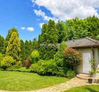 The garden of a family house in Žabokreky nad Nitrou with a lawn and dense shrub planting.