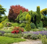 A garden at a family house in Žabokreky nad Nitrou full of colorful vegetation and shrubs.