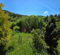 The garden of a family house in Banky, full of greenery with a view of wooded hills.