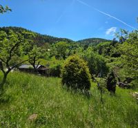 Greenery and hills surrounding a family house in Banky, lined with trees and a blue sky.