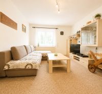 Living room in a family house with a comfortable sofa, TV stand, and decorations.