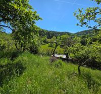 A garden with fruit trees in the village of Banky, surrounded by greenery and hills.