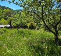 Garden at a family house with fruit trees on Banky Street in the town of Banky.