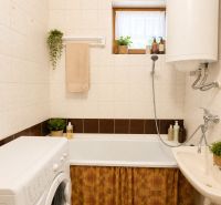 Family house bathroom with a bathtub, washing machine, and gas boiler, decorated with greenery.