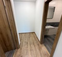 A hallway of a 3-room apartment with a wooden decor floor and a view into the bathroom.