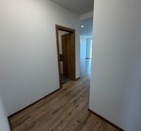 A hallway in a 3-room apartment with a wooden decor floor and white walls.