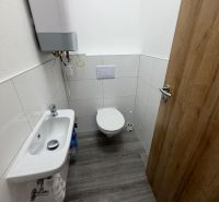 A toilet in a 3-room apartment with a wooden decor floor, small sink.