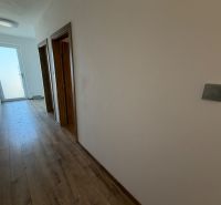 A hallway with a wooden decor floor and doors in a 3-room apartment.