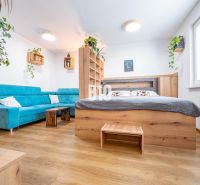 Living room with a blue sofa, wooden decor, and plants in a studio apartment.