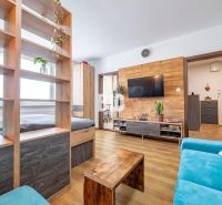 A one-room apartment with wooden decor, a bright living room, a blue sofa, and decorative plants.