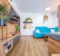 A one-room apartment with a blue sofa, a wooden decor floor, greenery, and a TV on the wall.