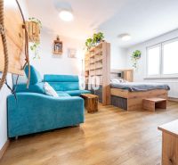 Bright 1-room apartment with wood-patterned flooring and a blue sofa.