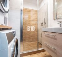 A bathroom in a studio apartment with a wooden decor floor and a shower corner.