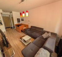 Living room in a two-room apartment with a sofa and a wooden decor floor.