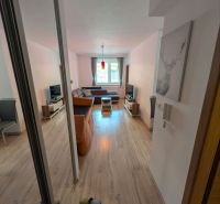 Living room in a two-room apartment with a comfortable sofa and a floor with a wooden decor.