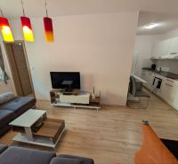 Living room of a two-room apartment with a wooden decor floor, a sofa, and a kitchen unit.