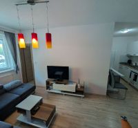 Living room in a two-room apartment with a sofa, television, and kitchenette, floor with wooden decor.