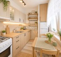 The kitchen of a 2-room apartment with shelves, a stove, and decorative plates on the wall.