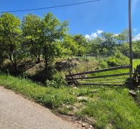 Trnovec Street in Lodno with residential plots and trees along the road.