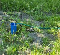Plots - housing on Trnovec Street in Lodno, showing a garden hose and vegetation.