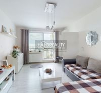 Living room in a two-room apartment with a wood-patterned floor and access to the balcony.