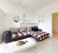Living room in a two-room apartment with a wooden decor floor and a sofa.