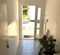 A corridor in commercial premises with tiles and a plant by the door to the terrace.