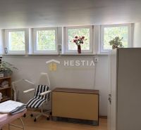 A room with a chair and a large window, commercial space with wood-patterned flooring.