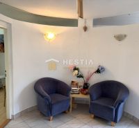 A cozy corner in commercial premises with two armchairs and decorations.